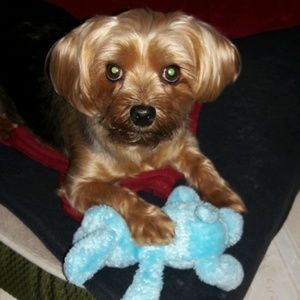 Meet your Posher, Yvette